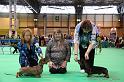 Crufts2011_2 1660